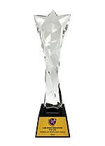 lam-soon-friends-of-northlight-award-gold