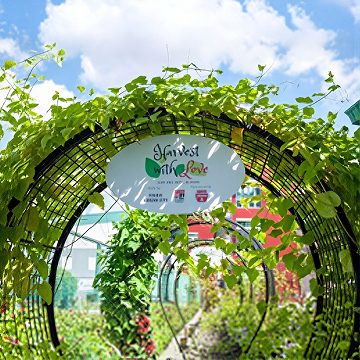 Supporting Therapeutic Horticulture and Outdoor Education in Gan Eng Seng School