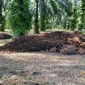 Donation of palm oil sludge to the Ban Plai Khlong village community