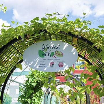 Supporting Therapeutic Horticulture in Gan Eng Seng School
