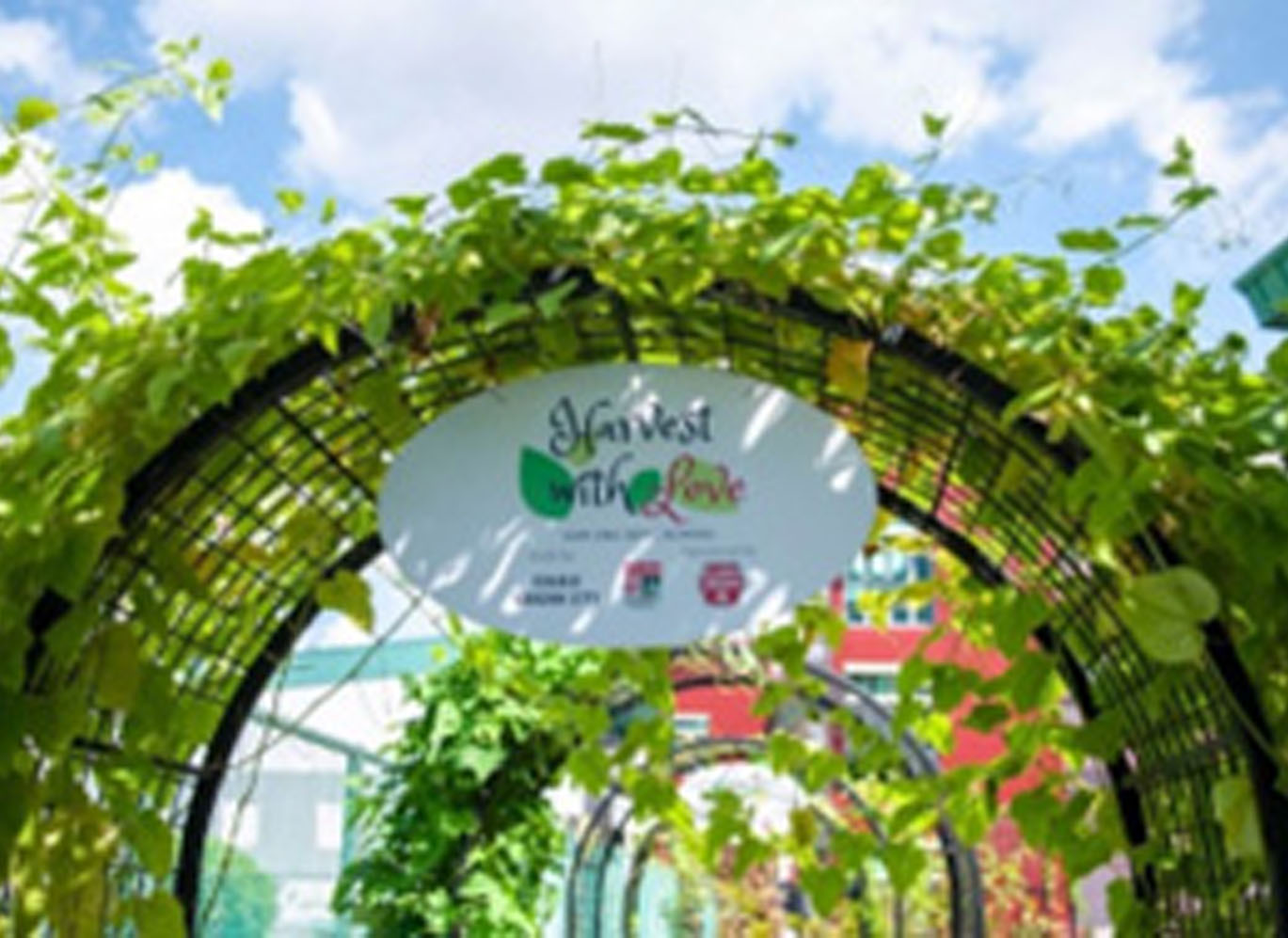 Supporting Therapeutic Horticulture and Outdoor Education in Gan Eng Seng School